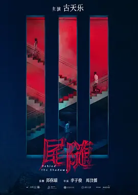 尾随 (2024)